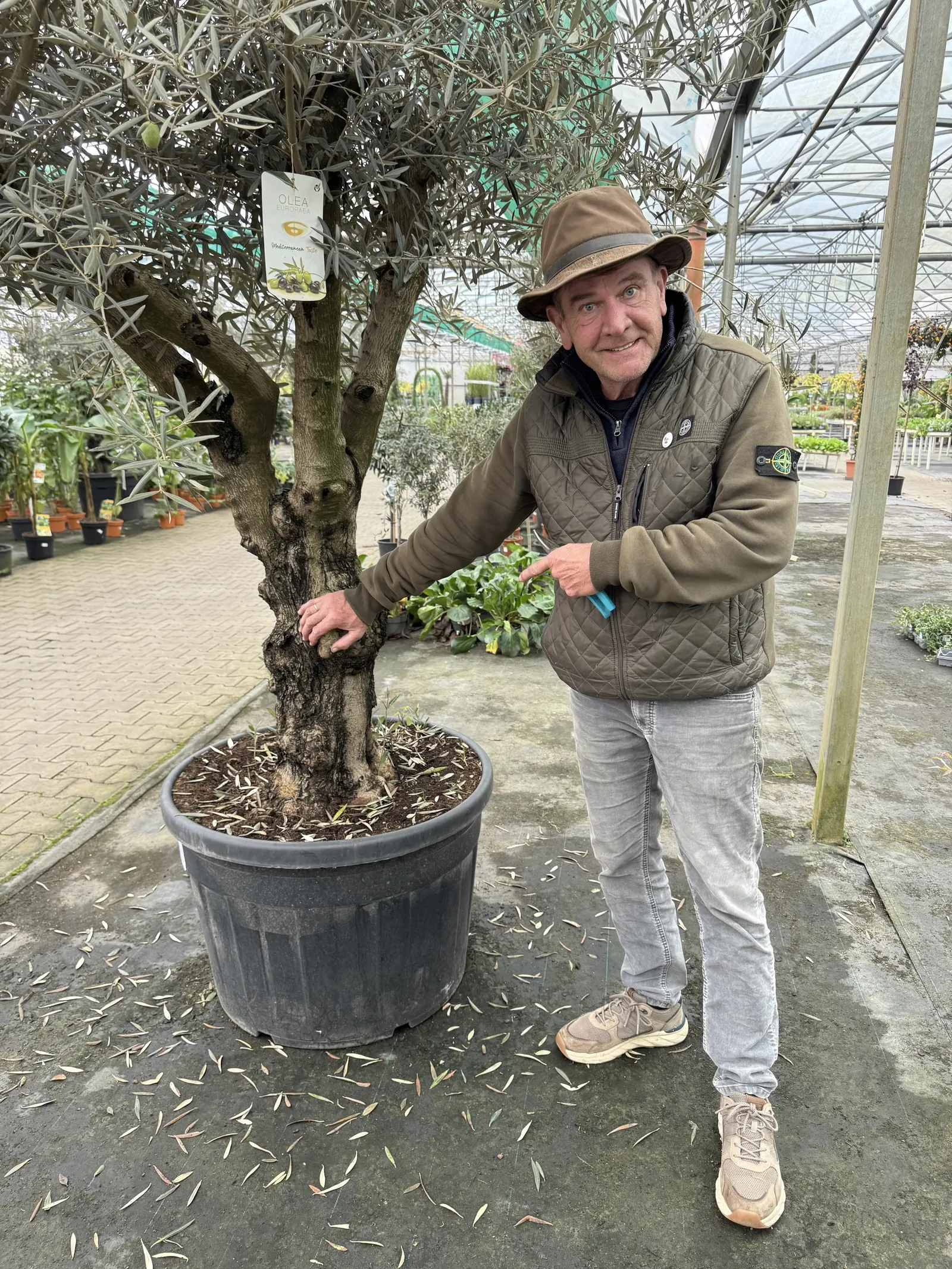 Renke Wardenburg mit Hut steht neben einem alten Olivenbaum mit knorrigem Stamm.