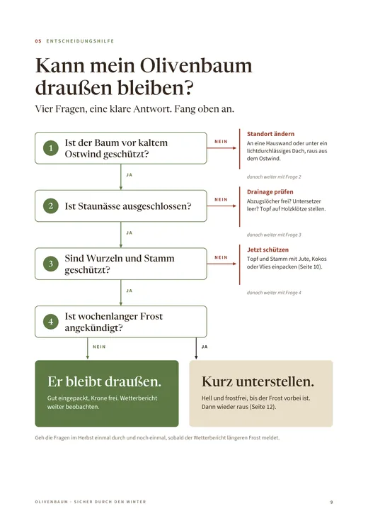 Seite 9: Entscheidungshilfe – Kann mein Olivenbaum draußen bleiben?