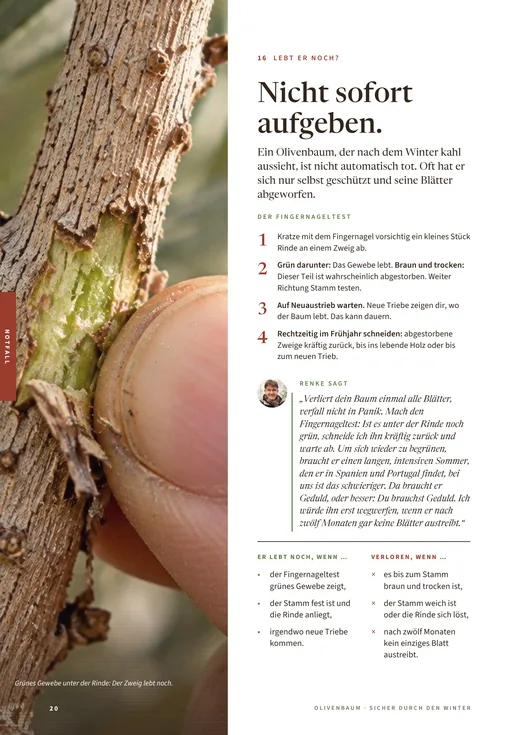 Seite 20: Lebt er noch? Der Fingernageltest